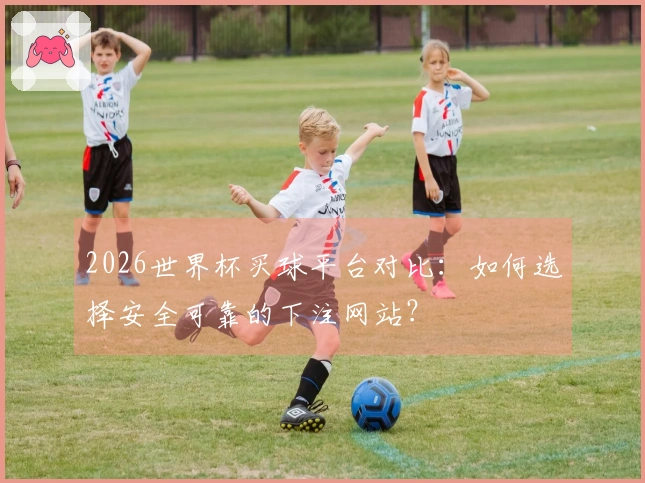 2026世界杯买球平台对比：如何选择安全可靠的下注网站？
