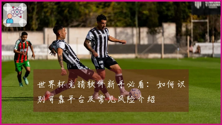 世界杯竞猜软件新手必看：如何识别可靠平台及常见风险介绍