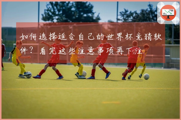 如何选择适合自己的世界杯竞猜软件？看完这些注意事项再下注