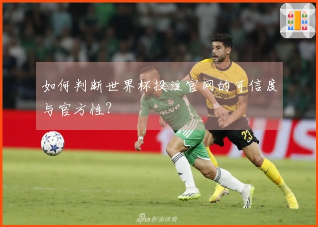 如何判断世界杯投注官网的可信度与官方性？