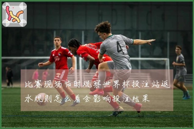比赛现场临时观察世界杯投注站返水规则怎么看会影响投注结果