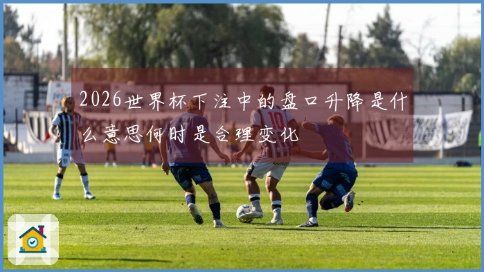 2026世界杯下注中的盘口升降是什么意思何时是合理变化