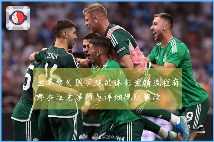 世界杯外围买球的体彩竞猜流程有哪些注意事项与详细规则解读