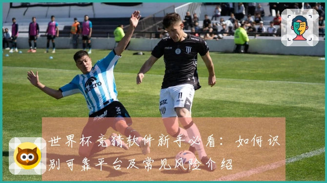 世界杯竞猜软件新手必看：如何识别可靠平台及常见风险介绍