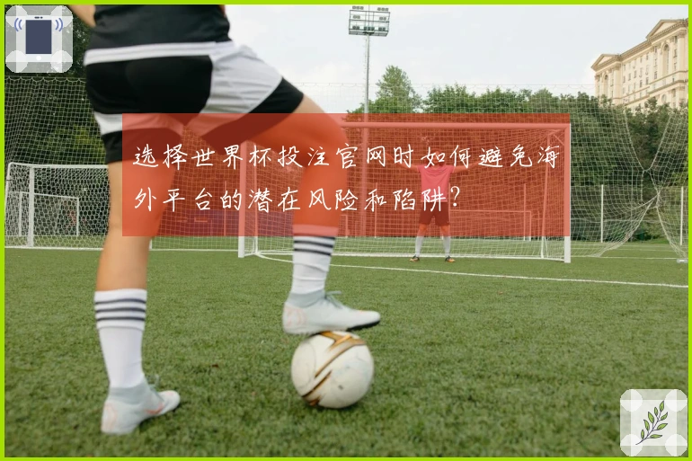 选择世界杯投注官网时如何避免海外平台的潜在风险和陷阱？