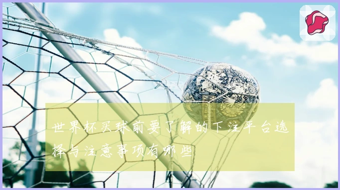 世界杯买球前要了解的下注平台选择与注意事项有哪些