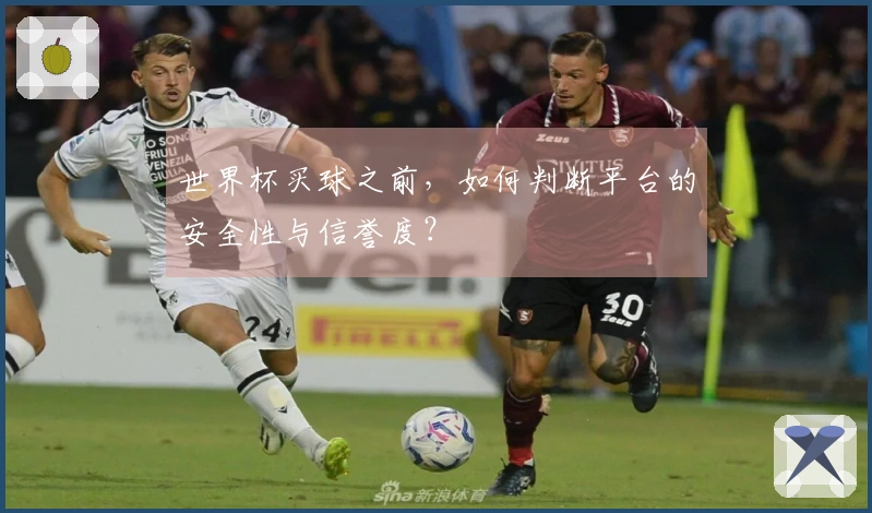 世界杯买球之前，如何判断平台的安全性与信誉度？
